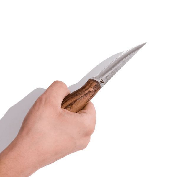 Ніж Fadir Tools Long Full Tang Carving Knife 9008 фото
