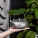 Титановый чайник Boundless Voyage 600мл Ti3105D Ti3105D фото 4